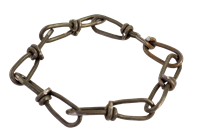 Twin Loop Chain