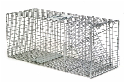 Safeguard Professional Box Trap 53130 for Raccoons, Opossums & Small Cats