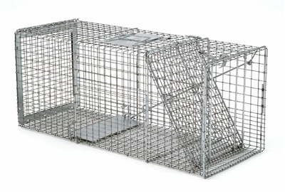 Professional Safeguard Box Trap 54130 for Raccoons, Opossums & Small Cats