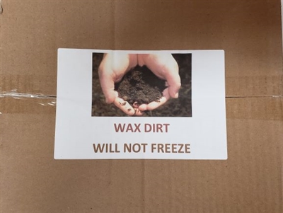 Waxed Dirt For Trapping