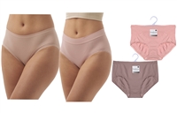 Wholesale Isadora Women's Nylon/Spandex Seamless Brief With Cotton Crotch (72 Packs)