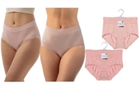 Wholesale Isadora Women's Nylon/Spandex Seamless Brief With Cotton Crotch (72 Packs)