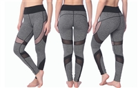 Women's Performance Sport Leggings with Size Options (36 Packs)