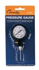 Champion Pressure Gauge