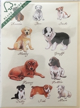 Puppies Card