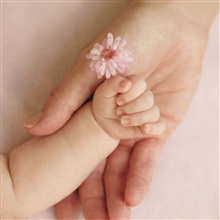 Baby Girl Pink Flower Card 16cm