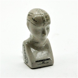 Phrenology Head 16cm