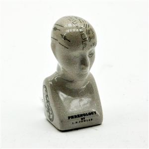 Phrenology Head 16cm