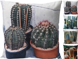 Cactus Cushion