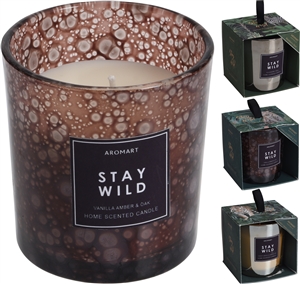 Stay Wild Scented Candle In Jar 3 Assorted 8cm