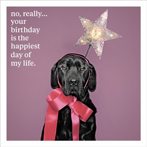 Your Birthday Card