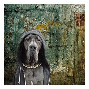 Gangsta Dog Card 16cm