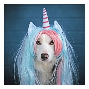 Unicorn Dog Card 16cm