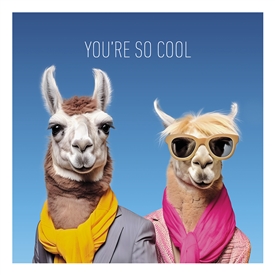 Coola Coola - You're So Cool Card 16cm