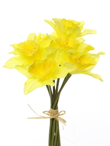 Daffodil Bundle 34cm