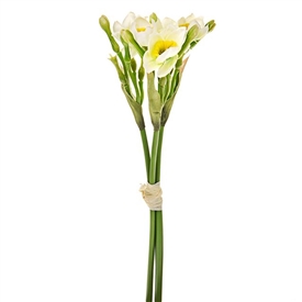 Daffodil and Bud Bundle 33cm