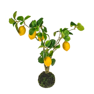Lemon Tree Decoration 58cm