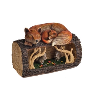 Sleeping Foxes On Log