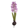 Hyacinth On Bulb Pink 34cm