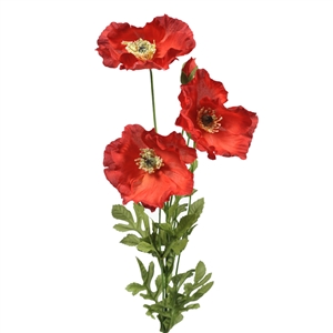 Poppy Bunch 74cm