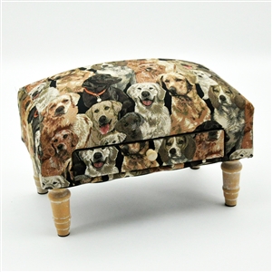 Dog Footstool With Draw