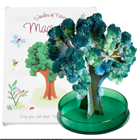 Magic Growing Tree  - Wonders Of Nature 14cm