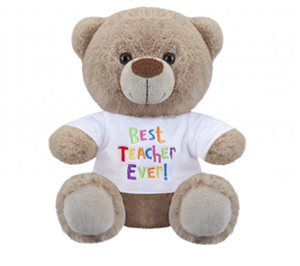 Best Teacher Teddy Bear 8"