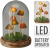 LED Dome Mushroom Scene