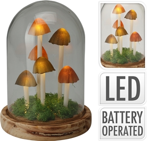 LED Dome Mushroom Scene