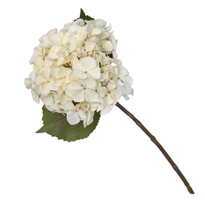 Single Stem Hydrangea In 2 Tone Cream 46cm