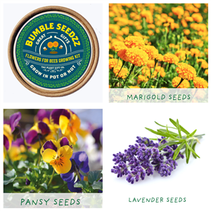 Plant Grow Gift Kits - Bumble Seedz