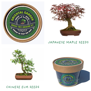Plant Grow Gift Kits - Oriental Garden