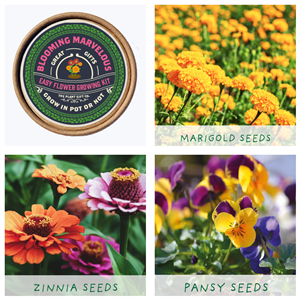 Plant Grow Gift Kits - Blooming Marvelous