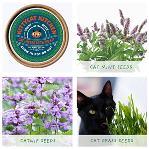 Plant Grow Gift Kits - Kittycat Kitchen