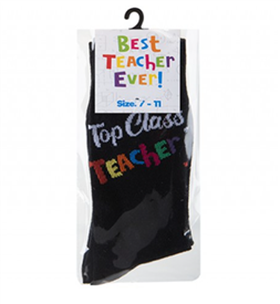 Pair Of Teacher Socks