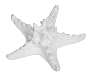 Resin Knobbly Starfish Ornament  12cm