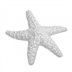 Resin Knobbly Starfish Ornament  12cm