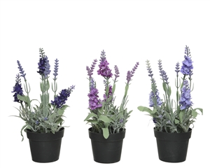 Artificial Lavender Potted Plant- 3 Assorted- 25cm