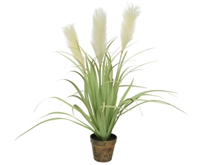 Artificial Grass Pampas Potted Plant- 70cm