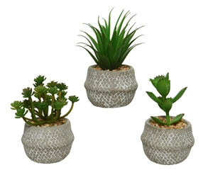 Artificial Green Potted Plant In Pot- 3 Assorted- 14cm