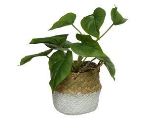 Artificial Green Potted Plant- 26cm