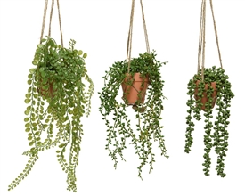3 Asst Hanging Plants 40cm