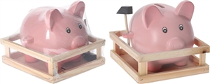 Moneybank Pig