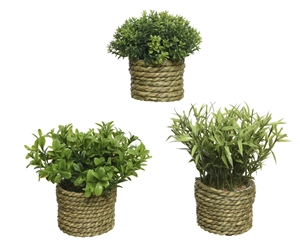 Artificial Green Potted Plant In Grass Pot- 3 Assorted- 16cm