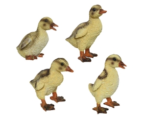 Polyresin Ducks 4 Assorted Shapes 6x10x10cm