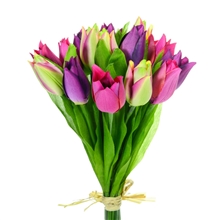 Tulip Bundle 28cm