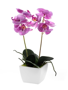 Potted Pink Orchid 33cm