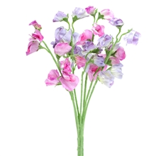 Sweetpea Bunch 42cm