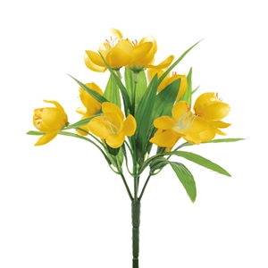 Yellow Crocus Bush 23cm