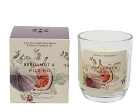 Wax Candle Pot - Bergamot & Wild Fig